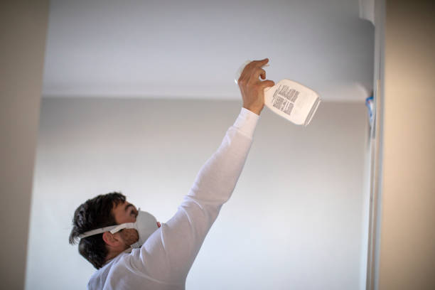 Best Home Mold Removal  in Burlington, VT
