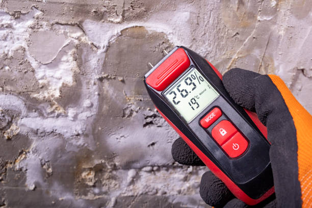 Best Emergency Mold Removal  in Burlington, VT